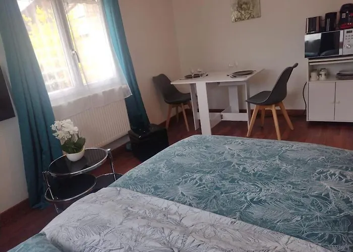 Cocon 10 Minutes A Pied Du Circuit 24 H / Musee 24h / Grand Prix / Moto / Centre Des Exposition / Antares / Boulerie Jump *