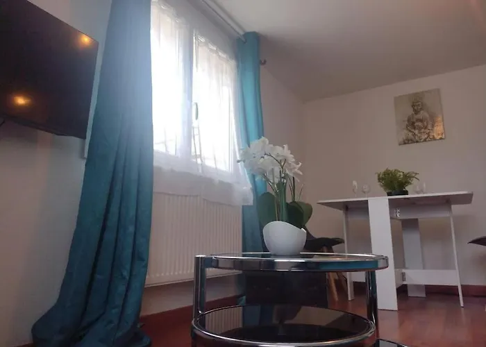 Cocon 10 Minutes A Pied Du Circuit 24 H / Musee 24h / Grand Prix / Moto / Centre Des Exposition / Antares / Boulerie Jump Appartement *